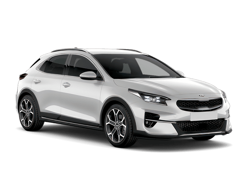Cassa White